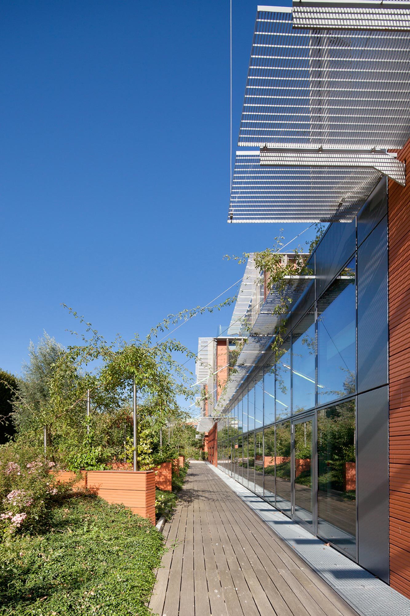 Terrasse végétalisée, Axe promotion, Chevilly-Larue, HGA – Hubert Godet Architectes